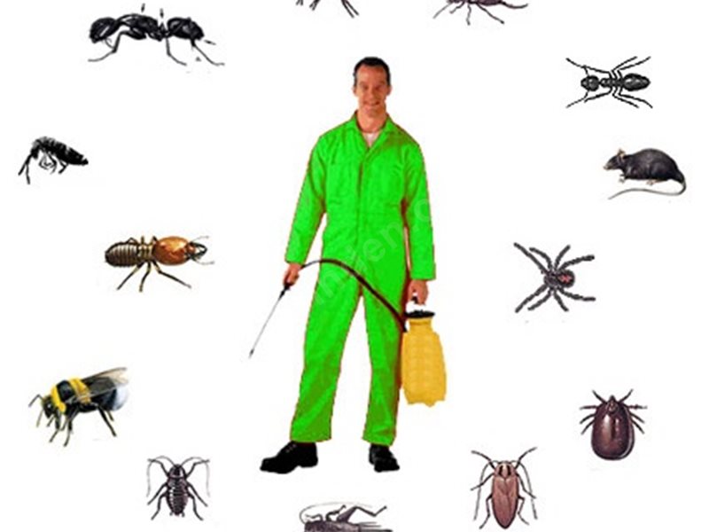 Evka 7 Böcek İlaçlama
