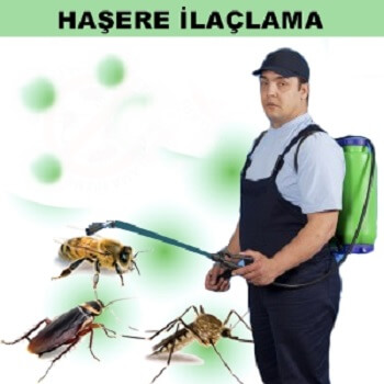 Evka 7 Böcek İlaçlama